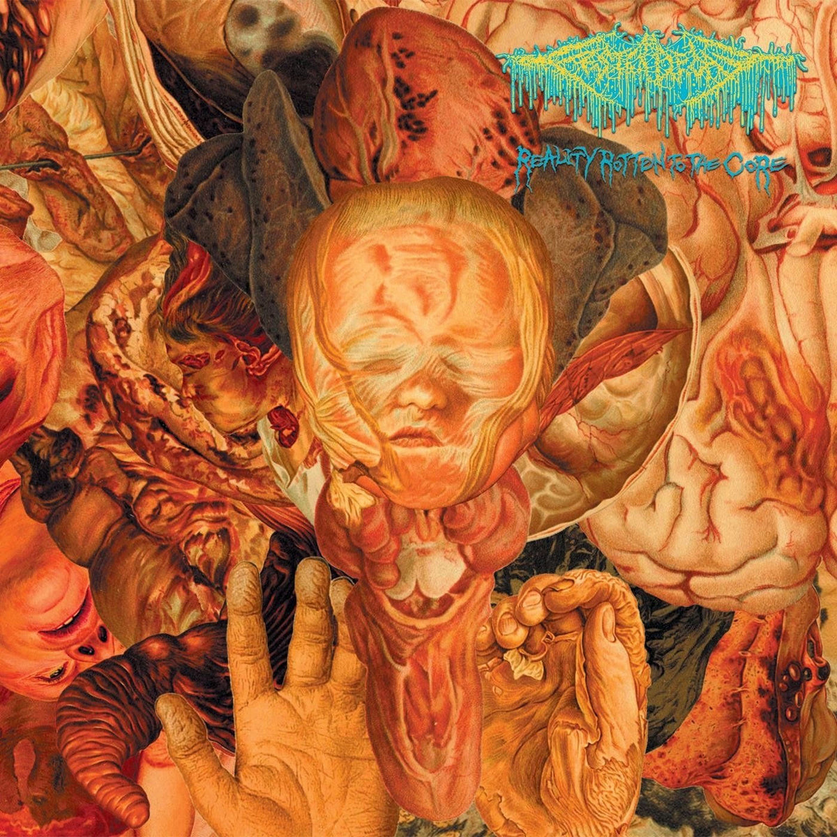 Festerdecay – Reality Rotten To The Core vinyl record cover
