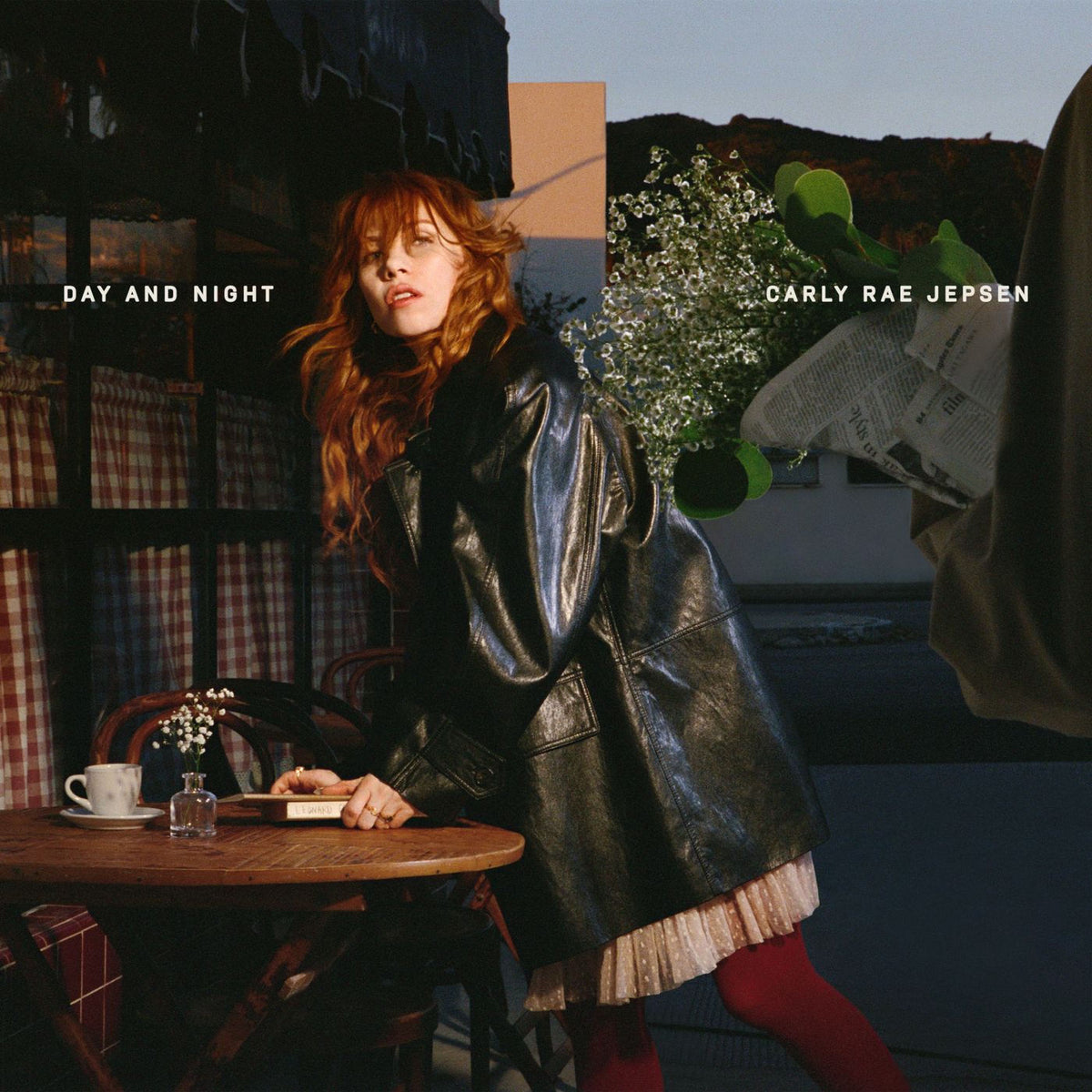 Carly Rae Jepsen – Day and Night vinyl record cover