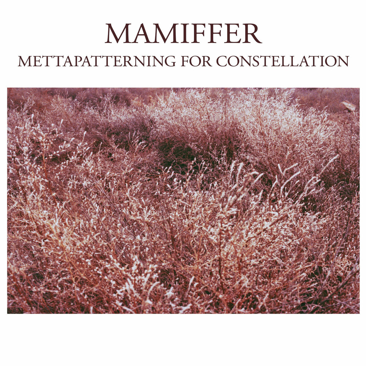 Mamiffer – Mettapatterning For Constellation vinyl cover