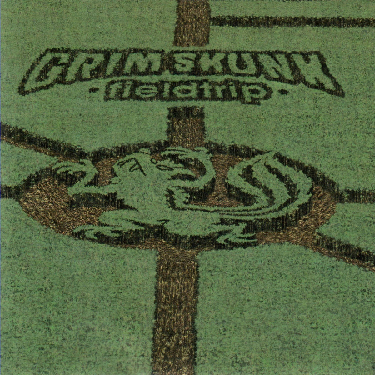 Grimskunk – Fieldtrip [BLACK LP VINYL] vinyl record cover