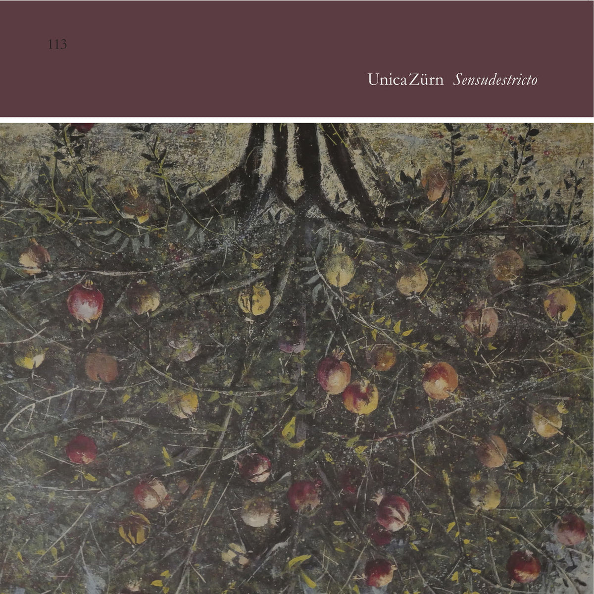 Unicazurn – Sensudestricto vinyl record cover