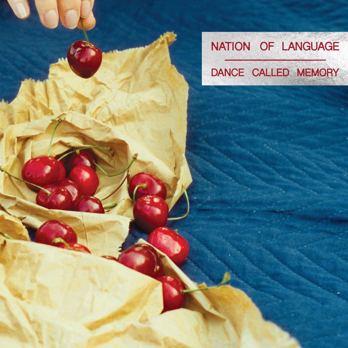 Nation of Language – Dance Called Memory vinyl record cover