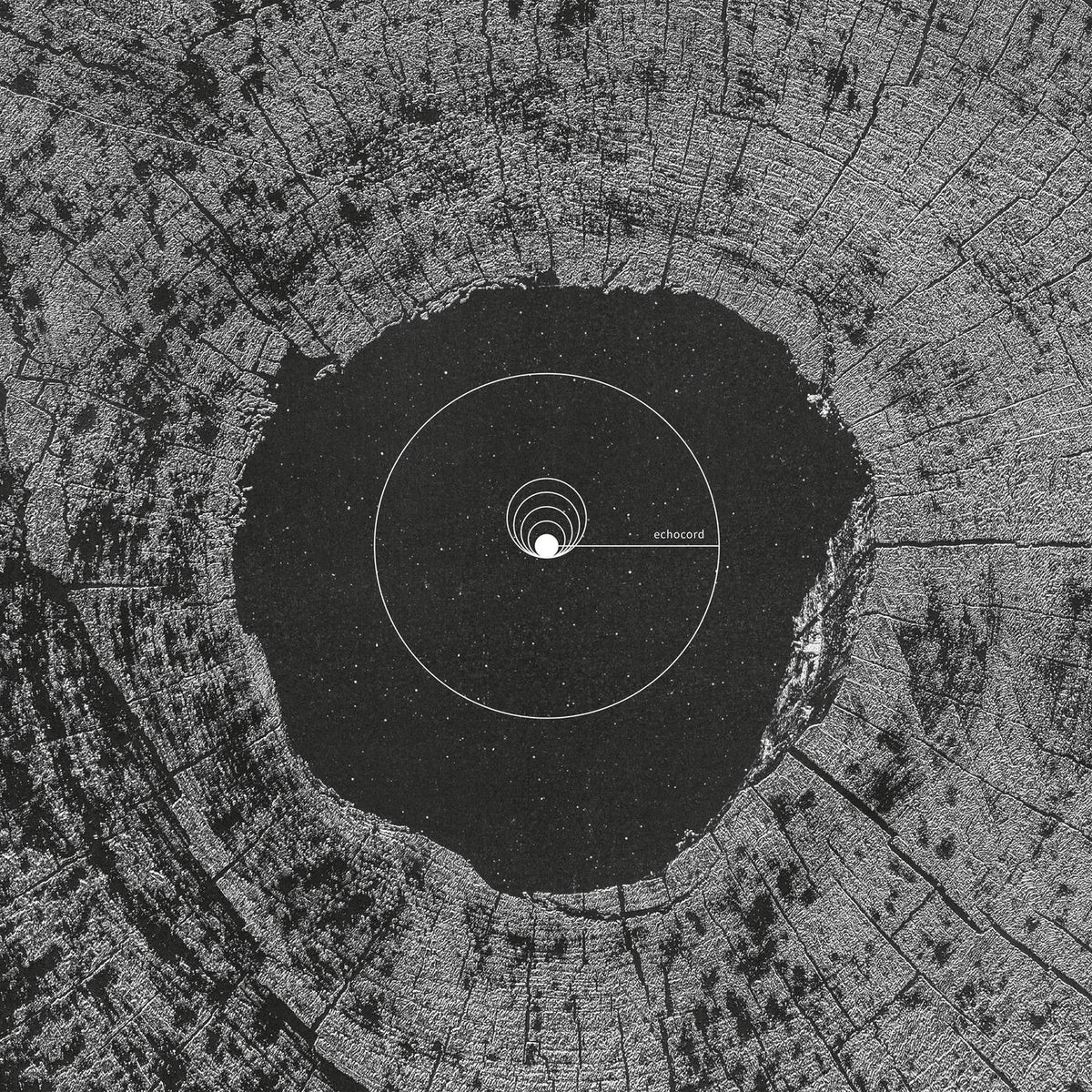 Various Artists – Echocord - 20 Years vinyl record cover