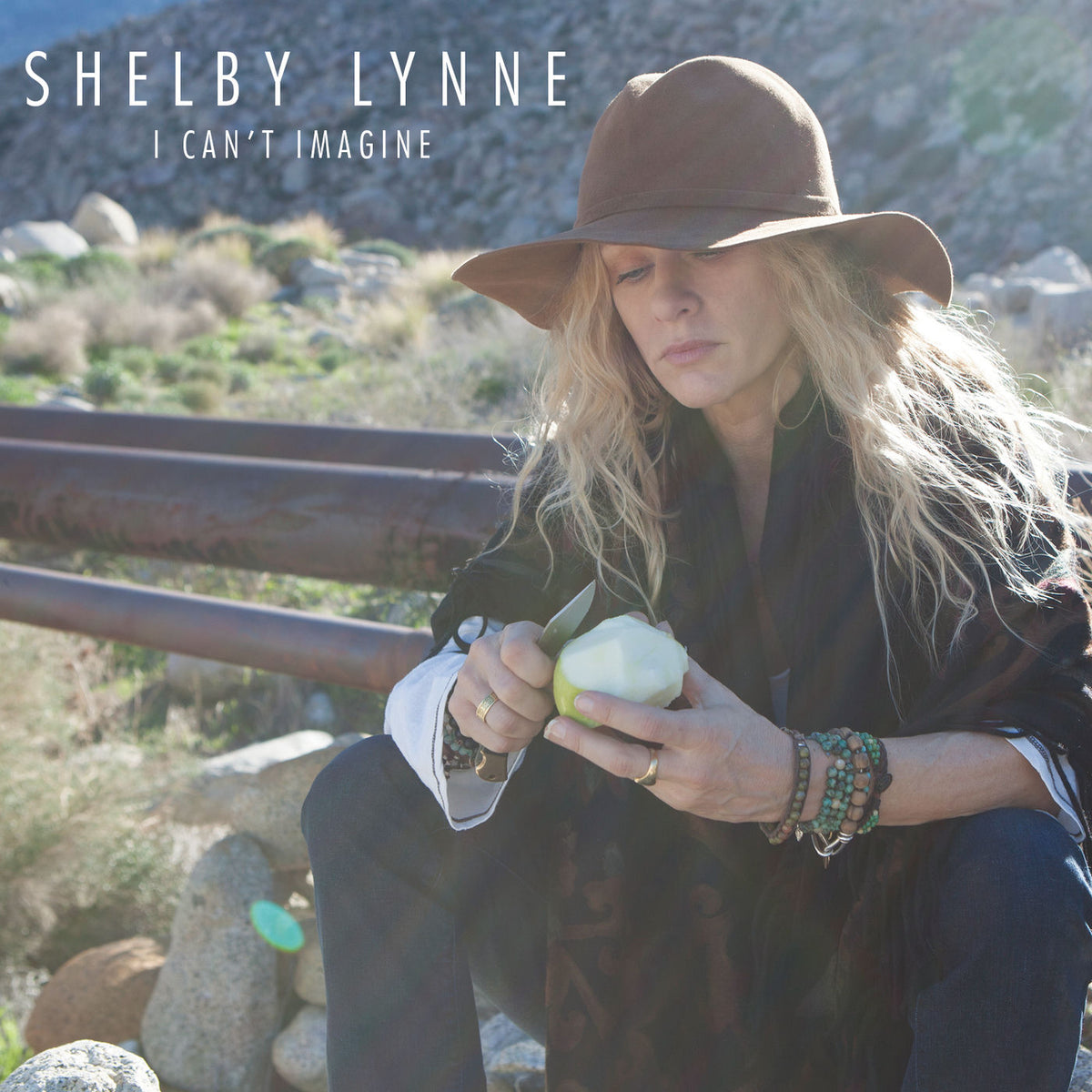 Shelby Lynne – I Can't Imagine vinyl record cover