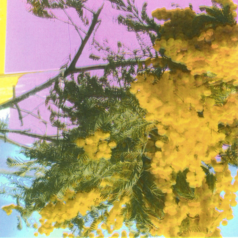 Four Tet – Into Dust (Still Falling) vinyl record cover