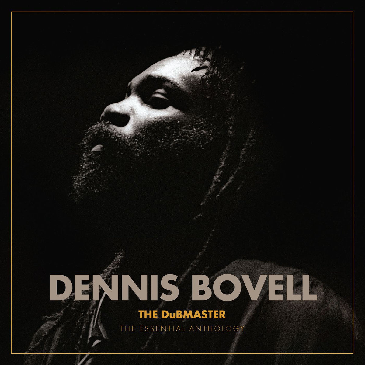 Dennis Bovell – The DuBMASTER: The Essential Anthology vinyl cover