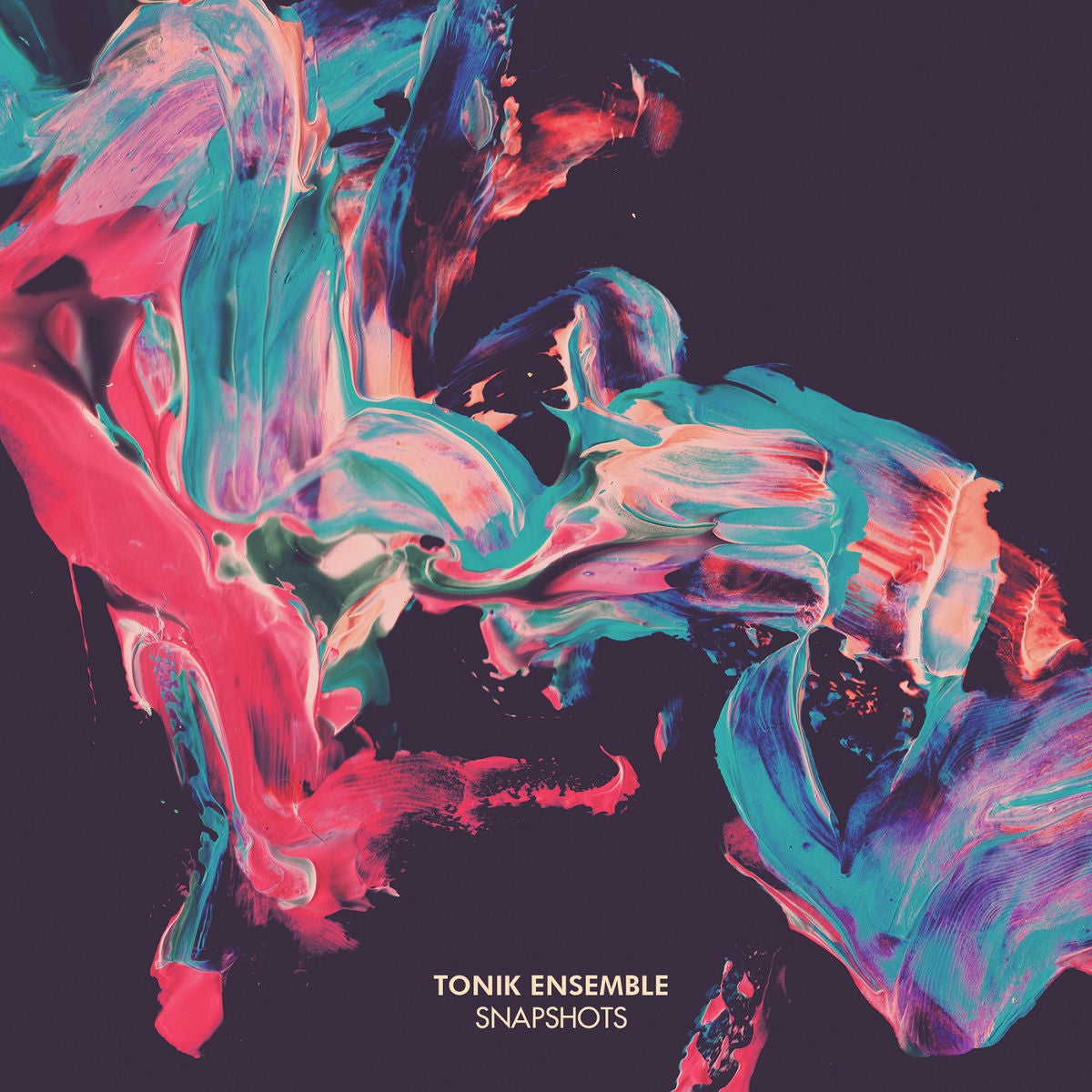 Tonik Ensemble – Snapshots (UK) vinyl record cover