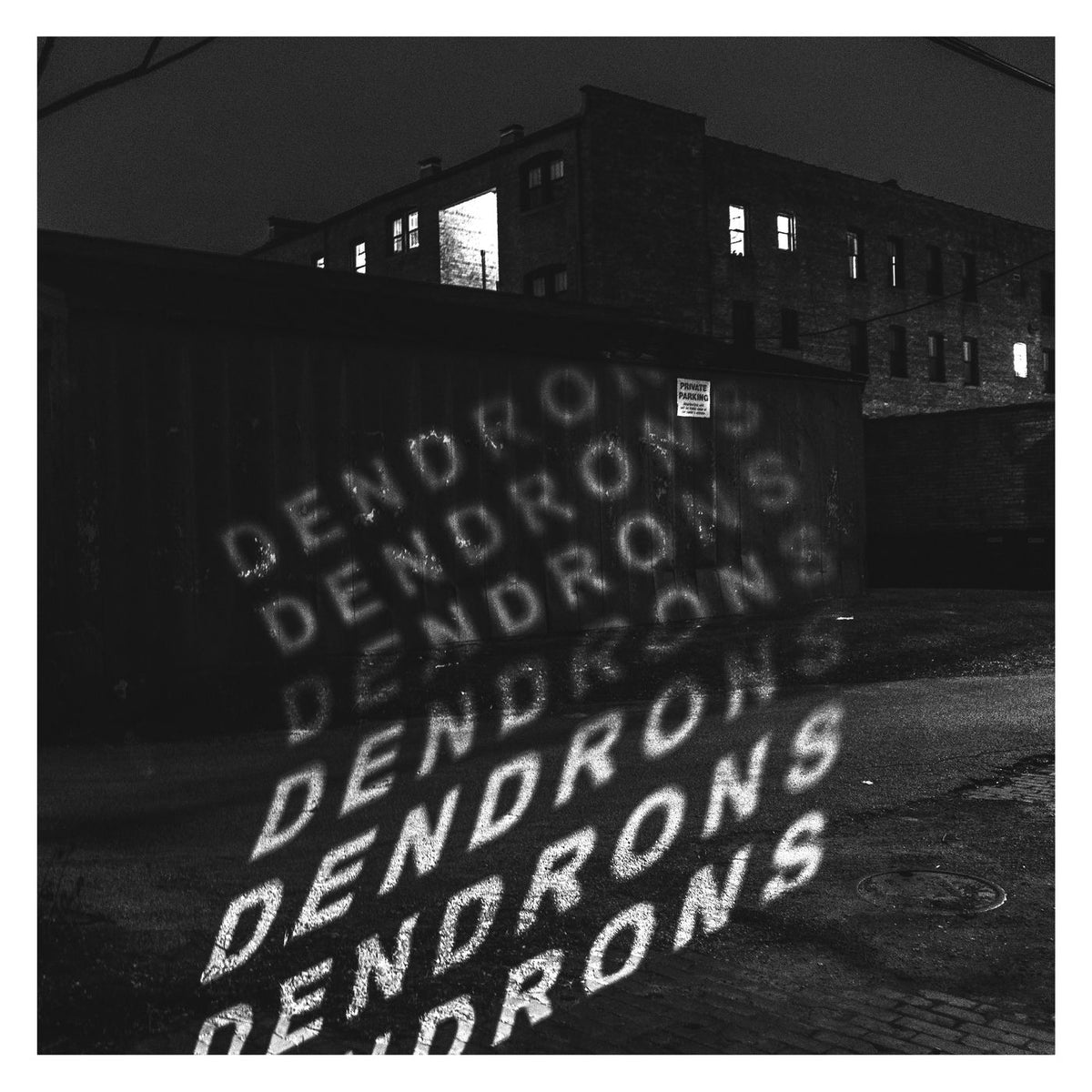 Dendrons – Dendrons vinyl record cover