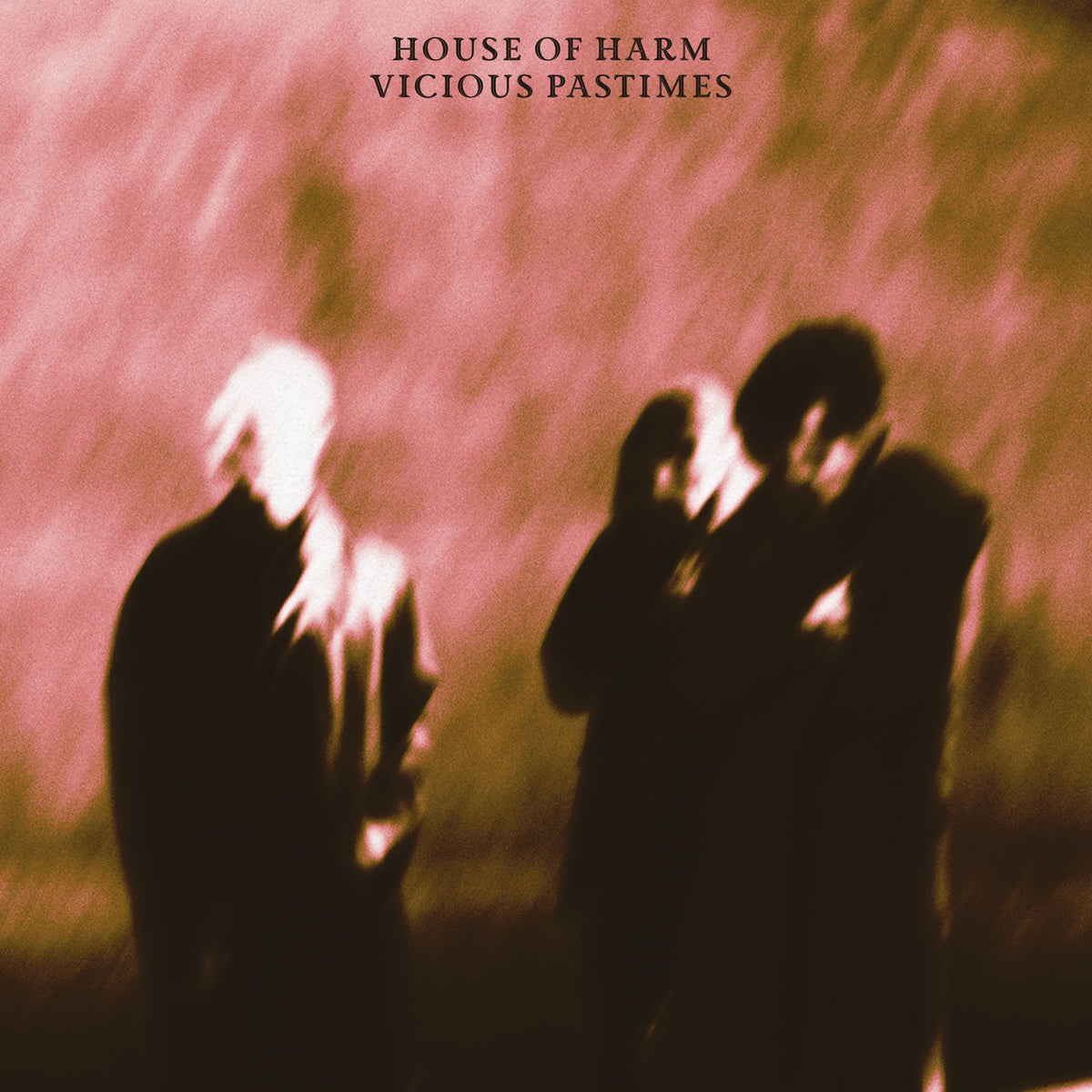 House of Harm – Vicious Pastimes vinyl cover