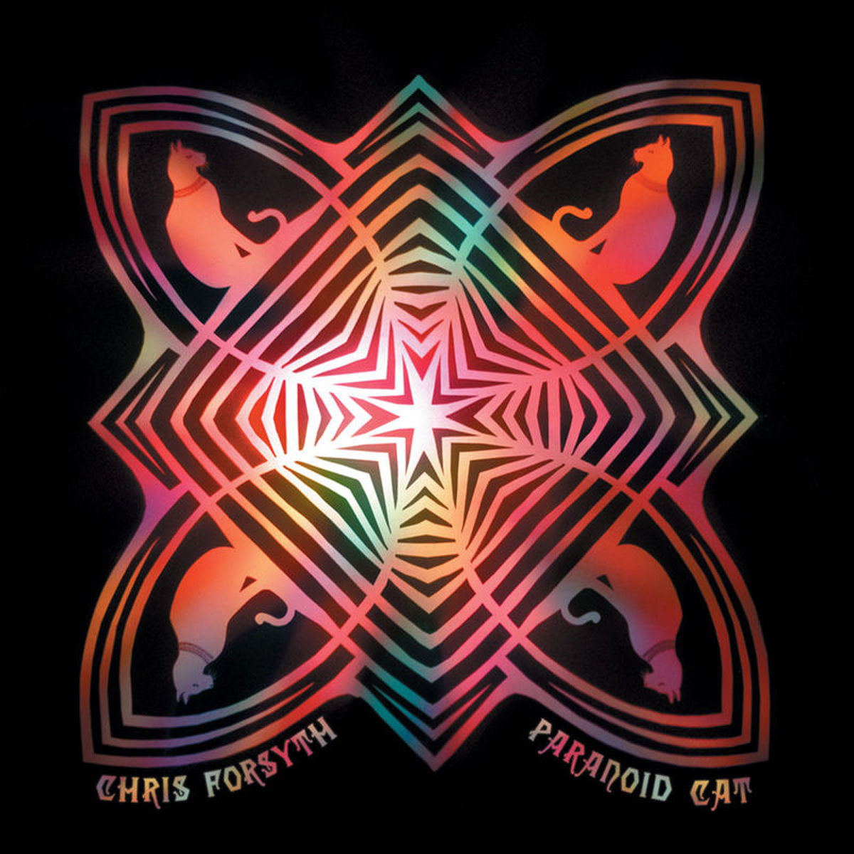 Chris Forsyth – Paranoid Cat — record image 1
