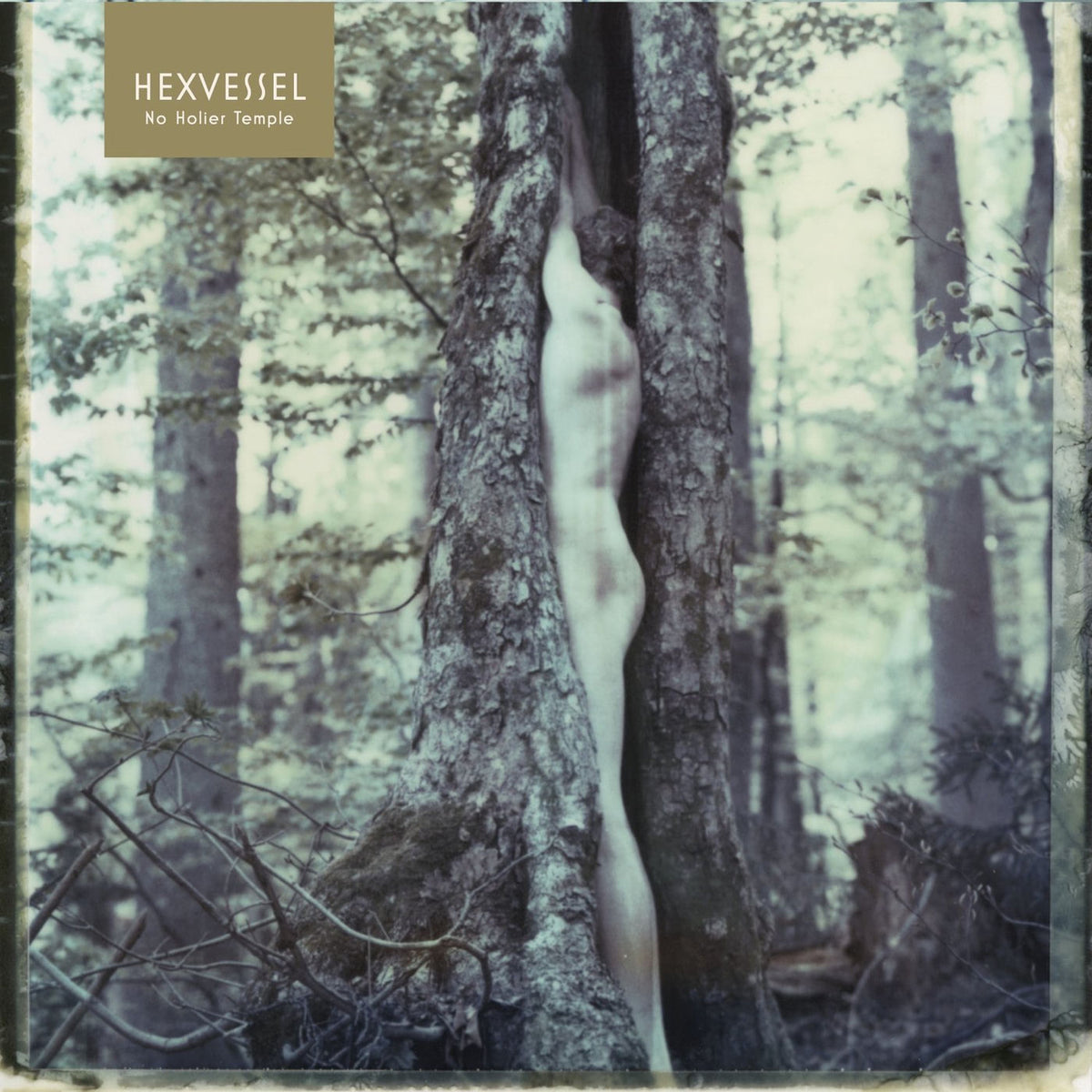 Hexvessel – No Holier Temple vinyl cover