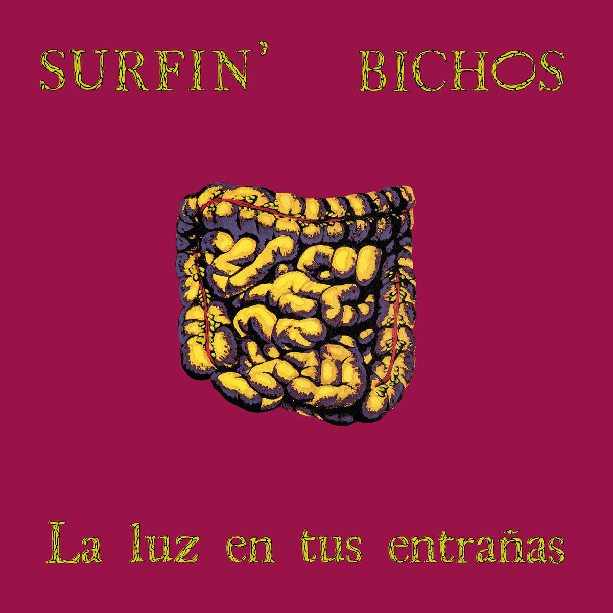 Surfin Bichos – La Luz En Tus Entranas vinyl record cover