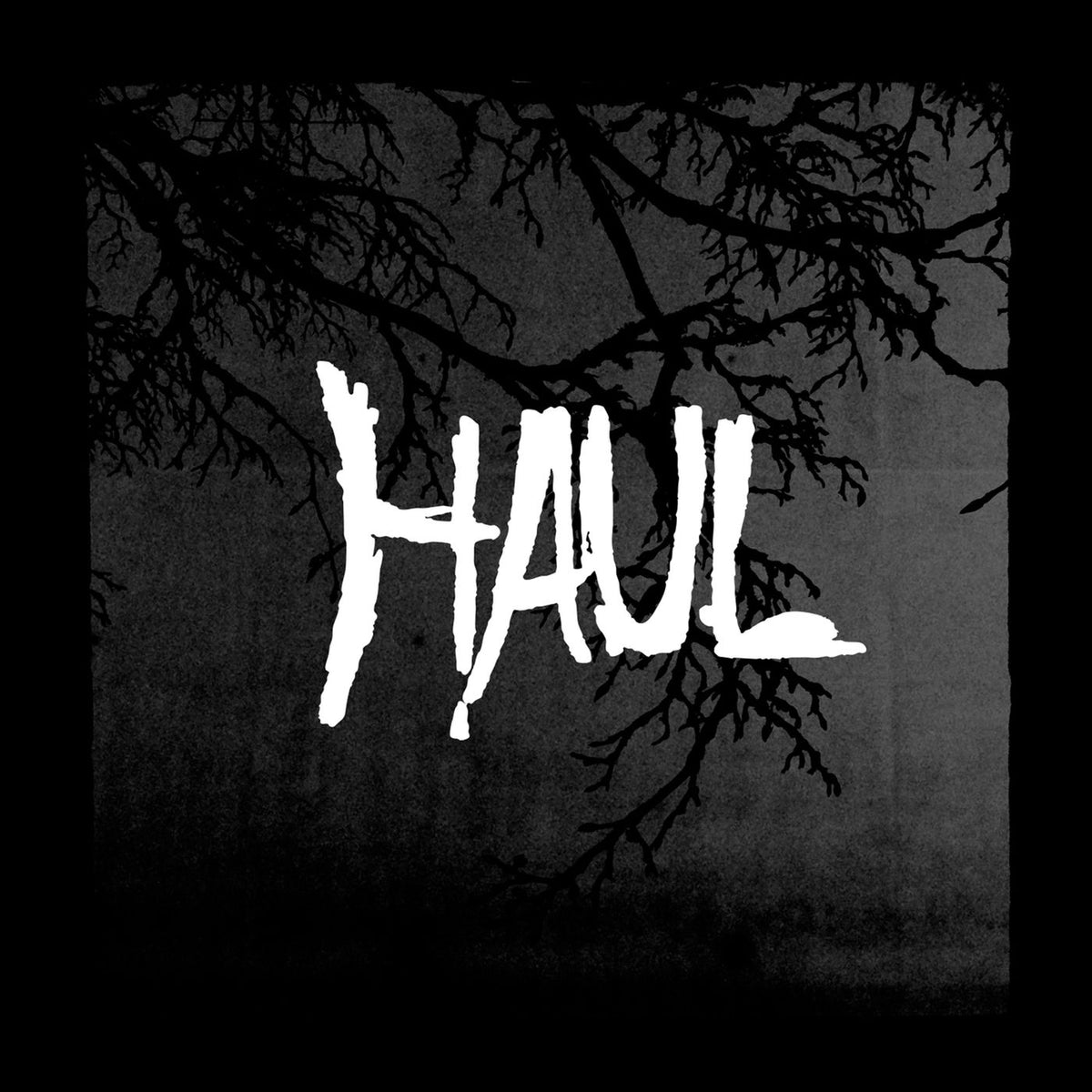 Haul – Separation vinyl record cover