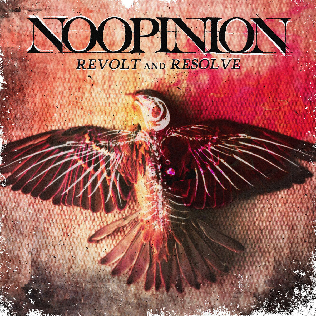 No Opinion – Revolte And Resolve vinyl record cover