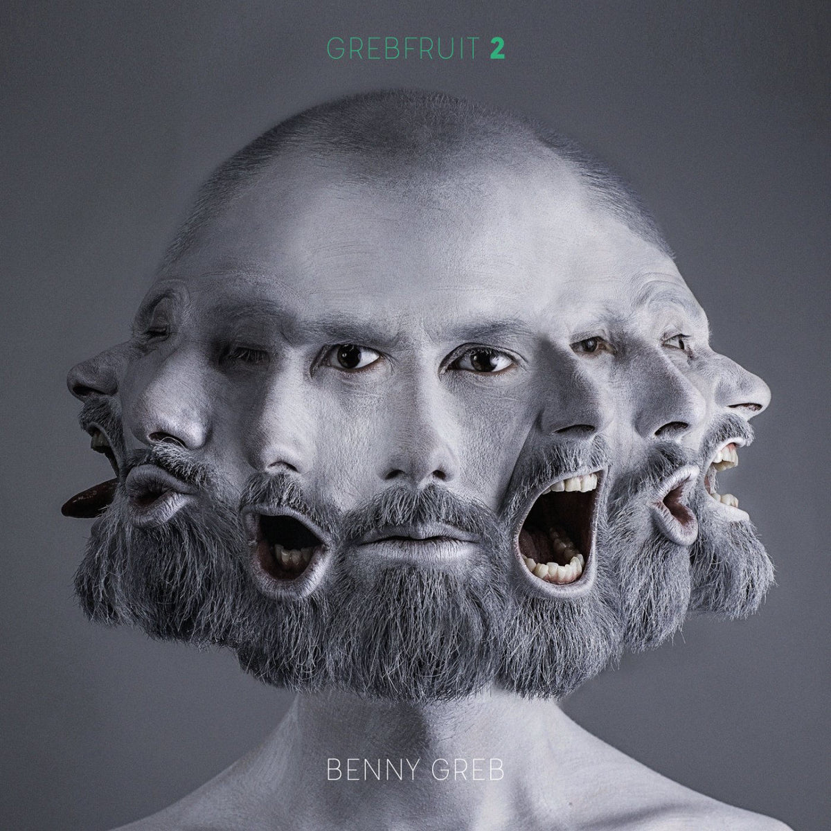Benny Greb – Grebfruit 2 vinyl record cover