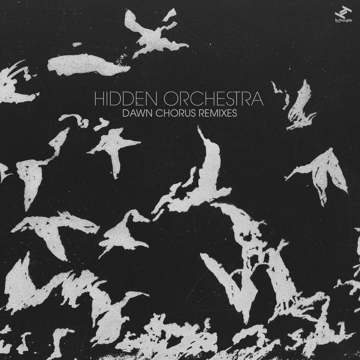 Hidden Orchestra – Dawn Chorus Remixes vinyl record cover
