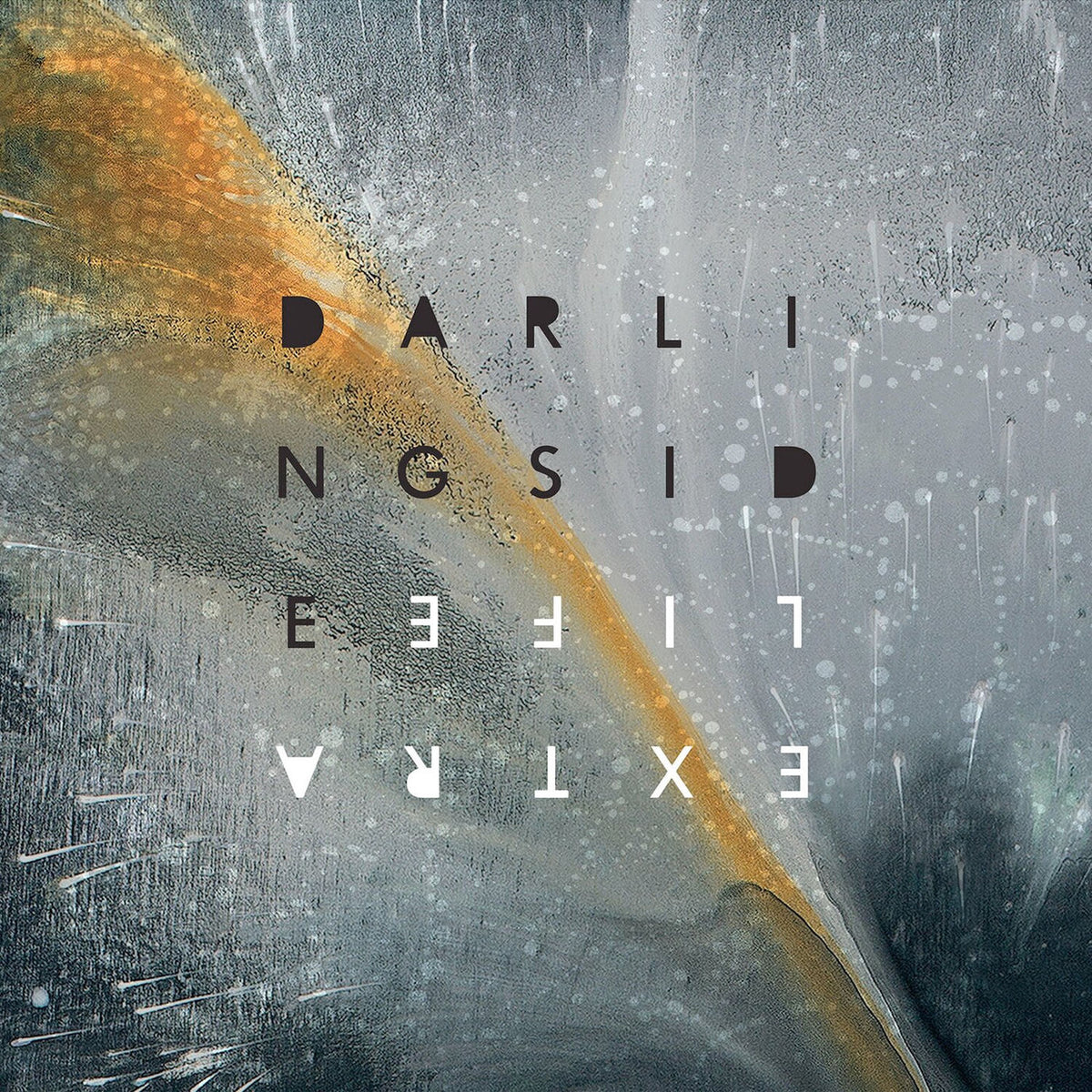 Darlingside – Extralife vinyl record cover