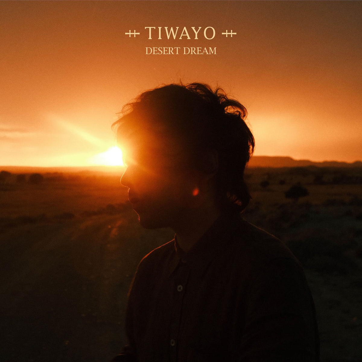 Tiwayo – Desert Dream [LP] vinyl record cover