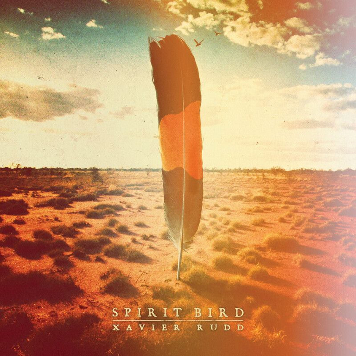 Rudd, Xavier – Spirit Bird (LUCKY DIP RECYCLED VINYL — album cover