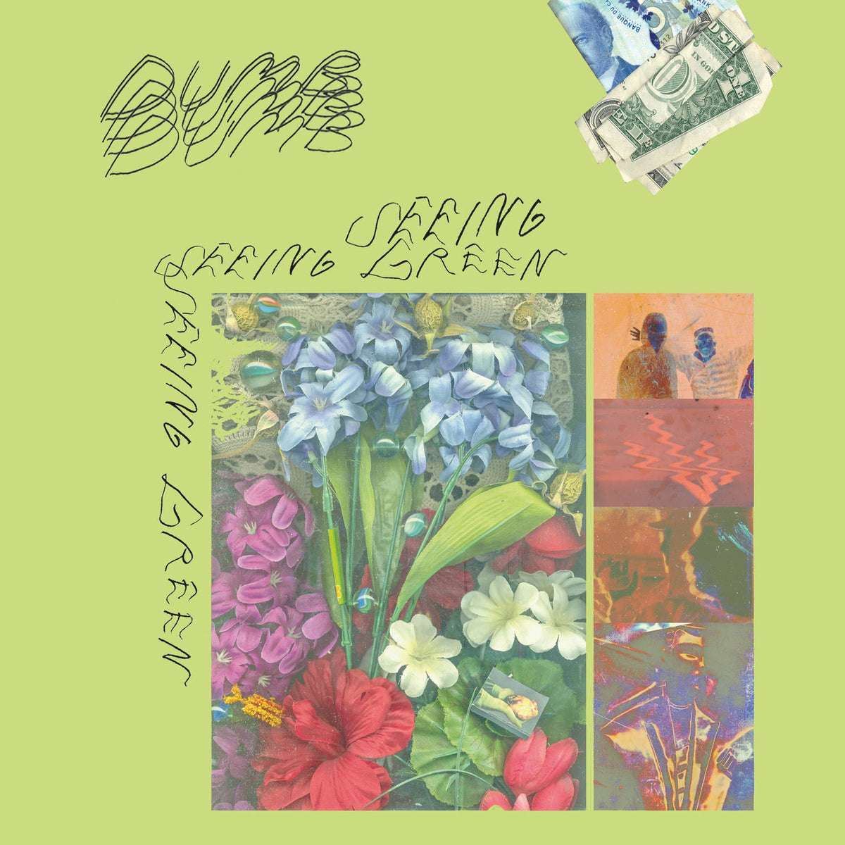 DUMB – Seeing Green vinyl record cover