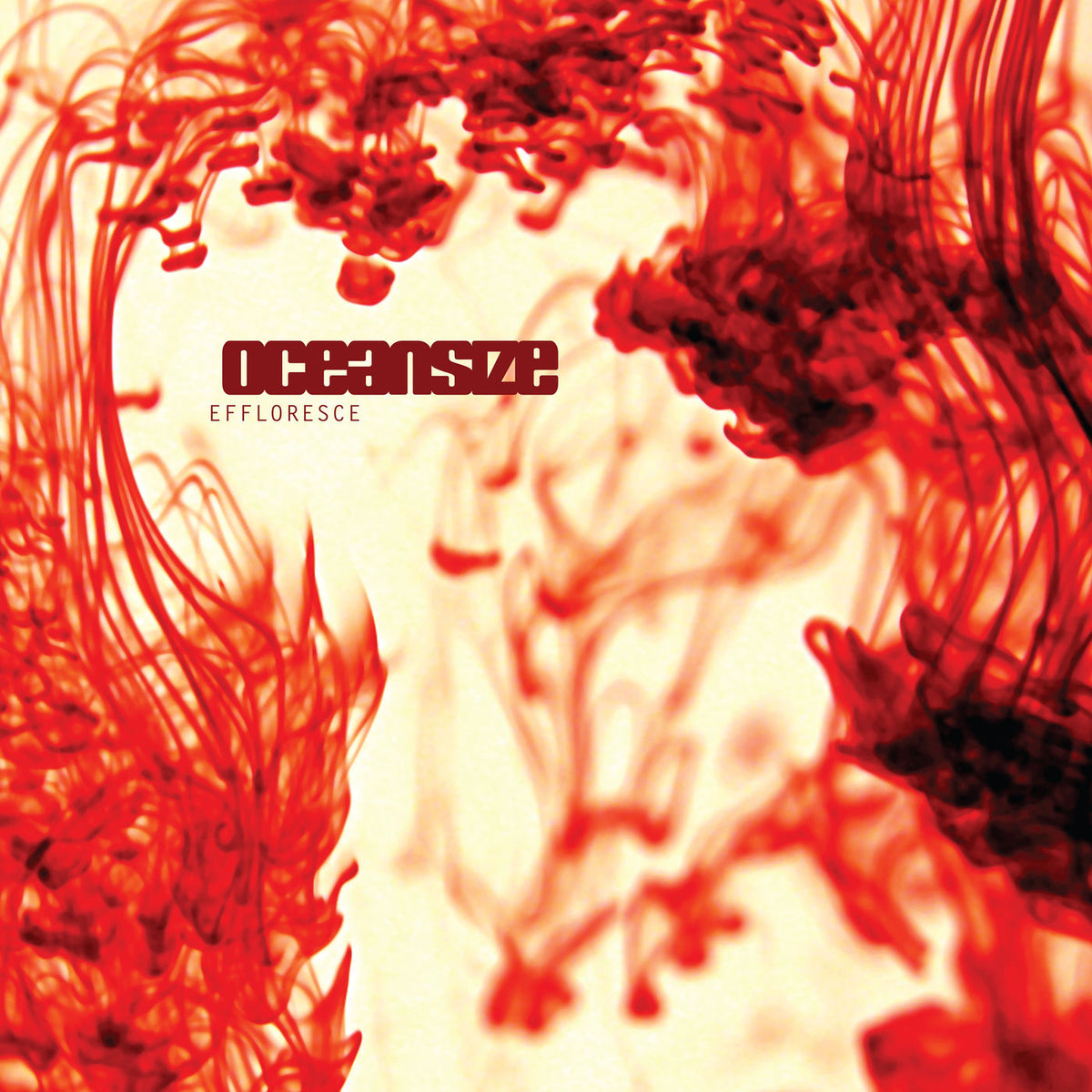 Oceansize – Effloresce vinyl cover