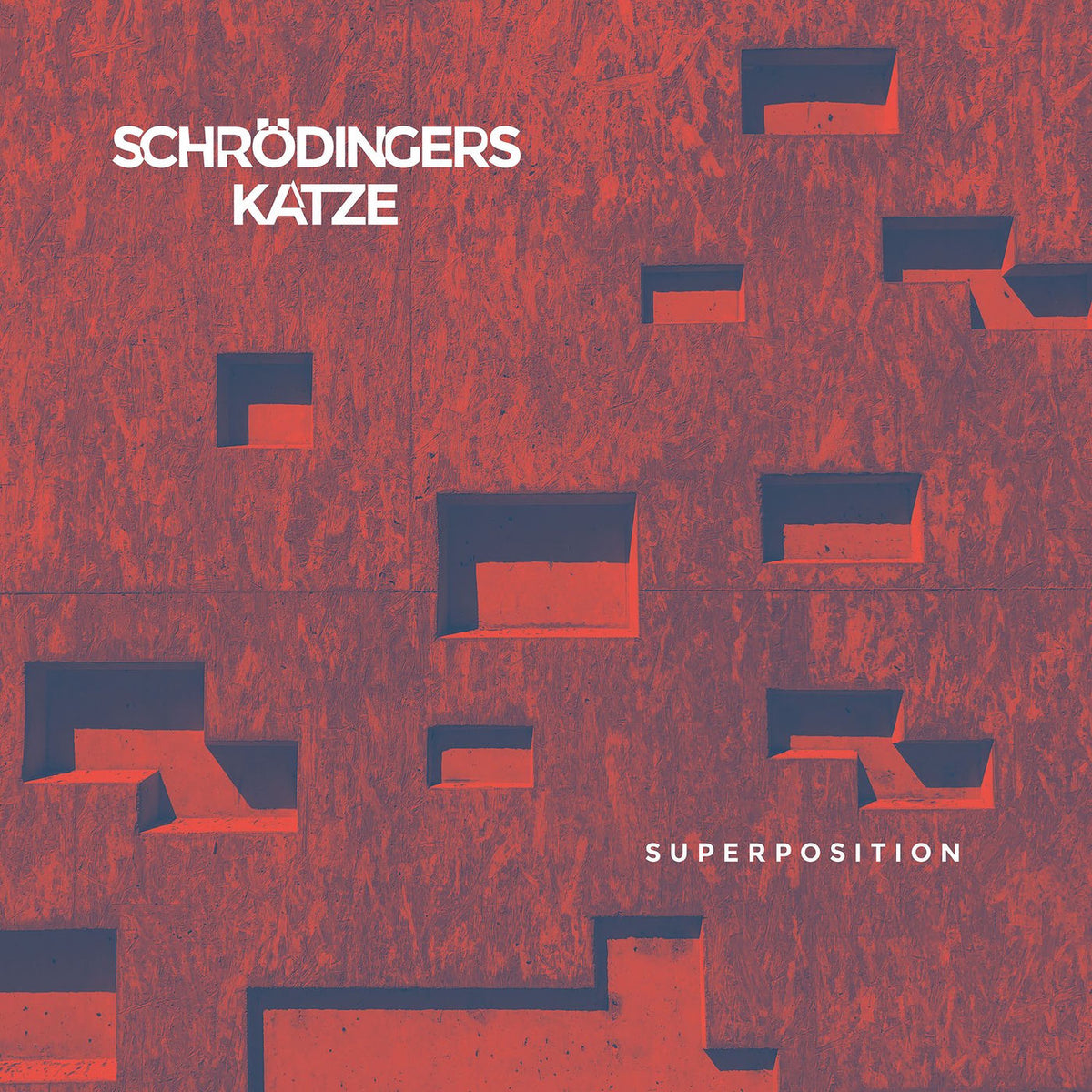 Schrodingers Katze – Superposition vinyl record cover