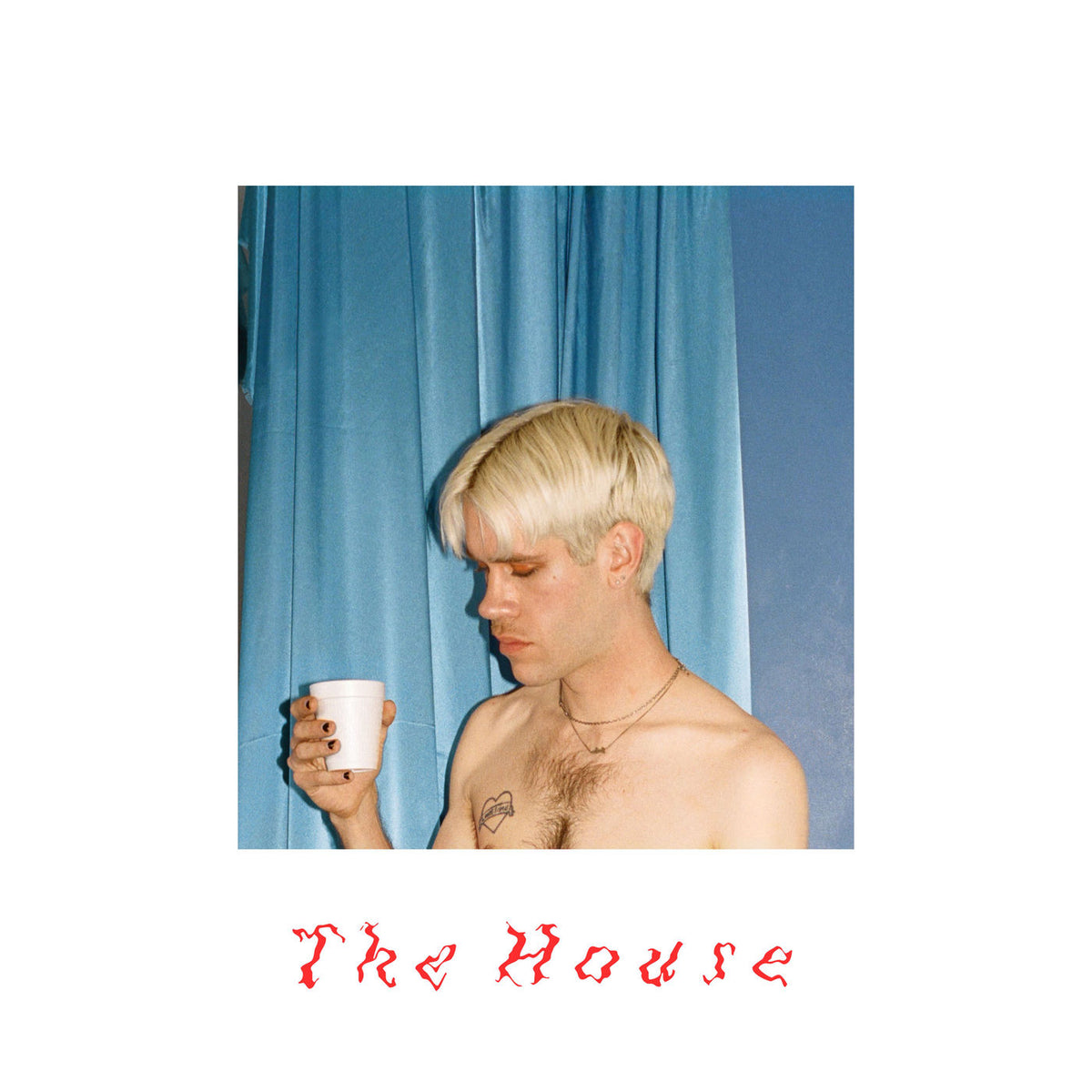 Porches – The House vinyl record cover