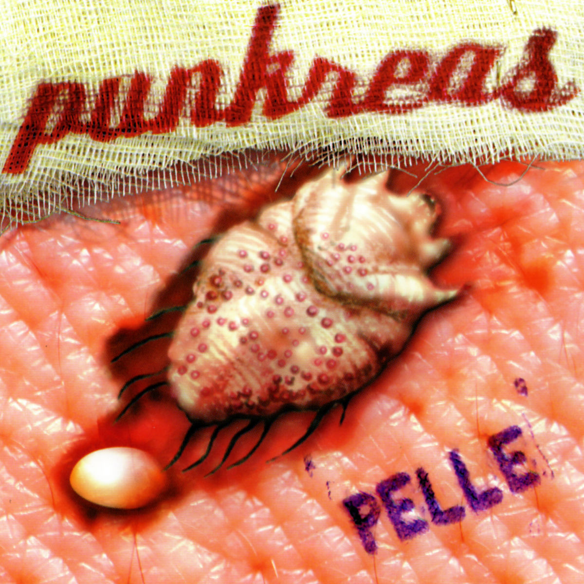 Punkreas – Pelle vinyl record cover