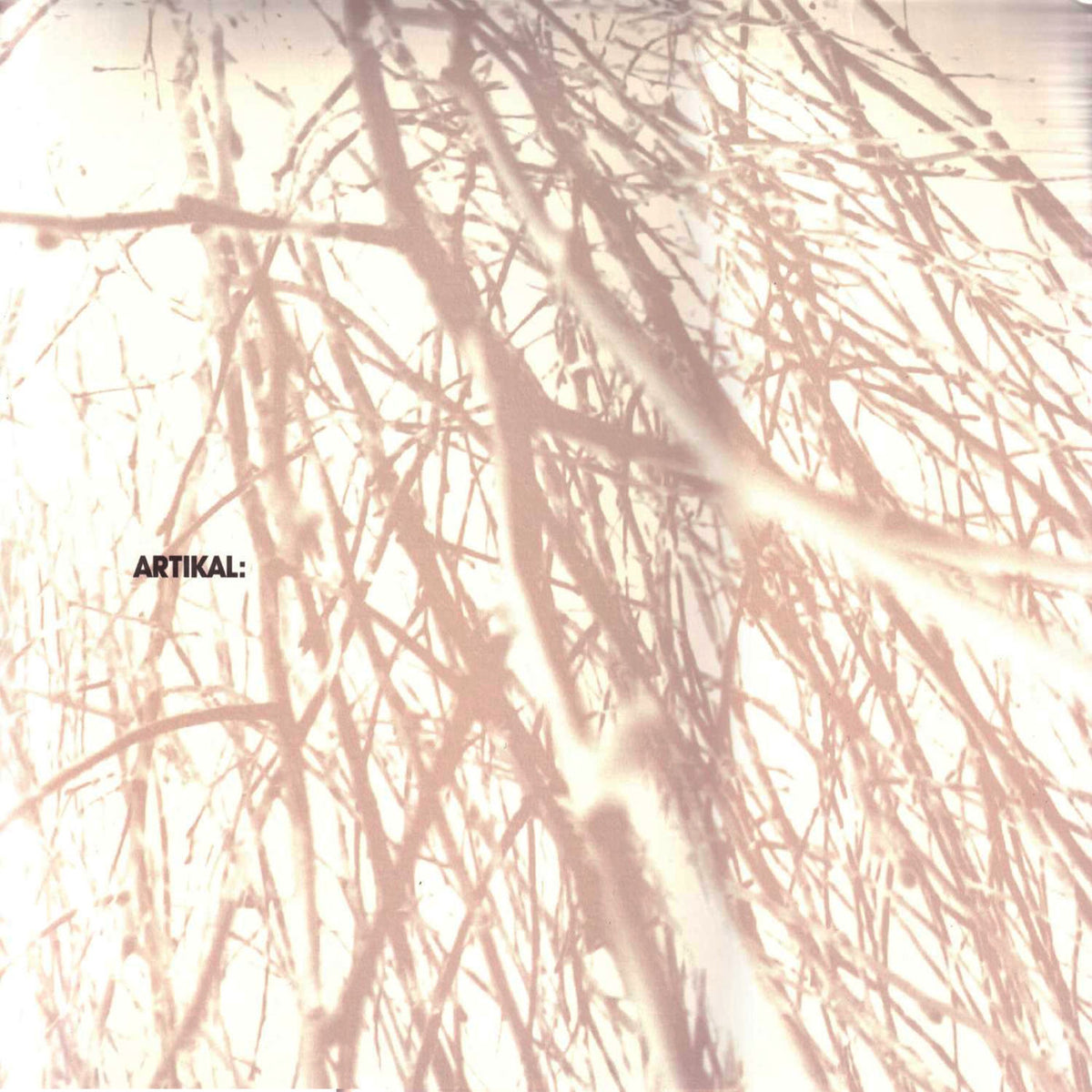 I Love You but I've Chosen Darkness – According To Plan vinyl cover