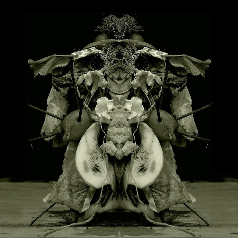 Gurun Gurun – Uzu Oto vinyl record cover