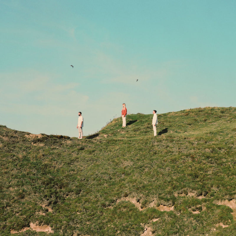 Peakes – Peripheral Figures vinyl record cover