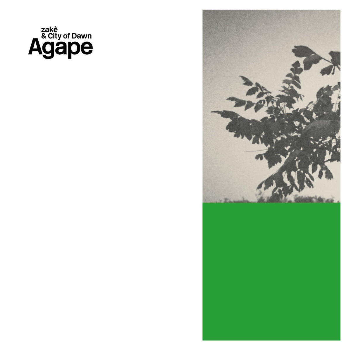 Zake – Agape vinyl cover