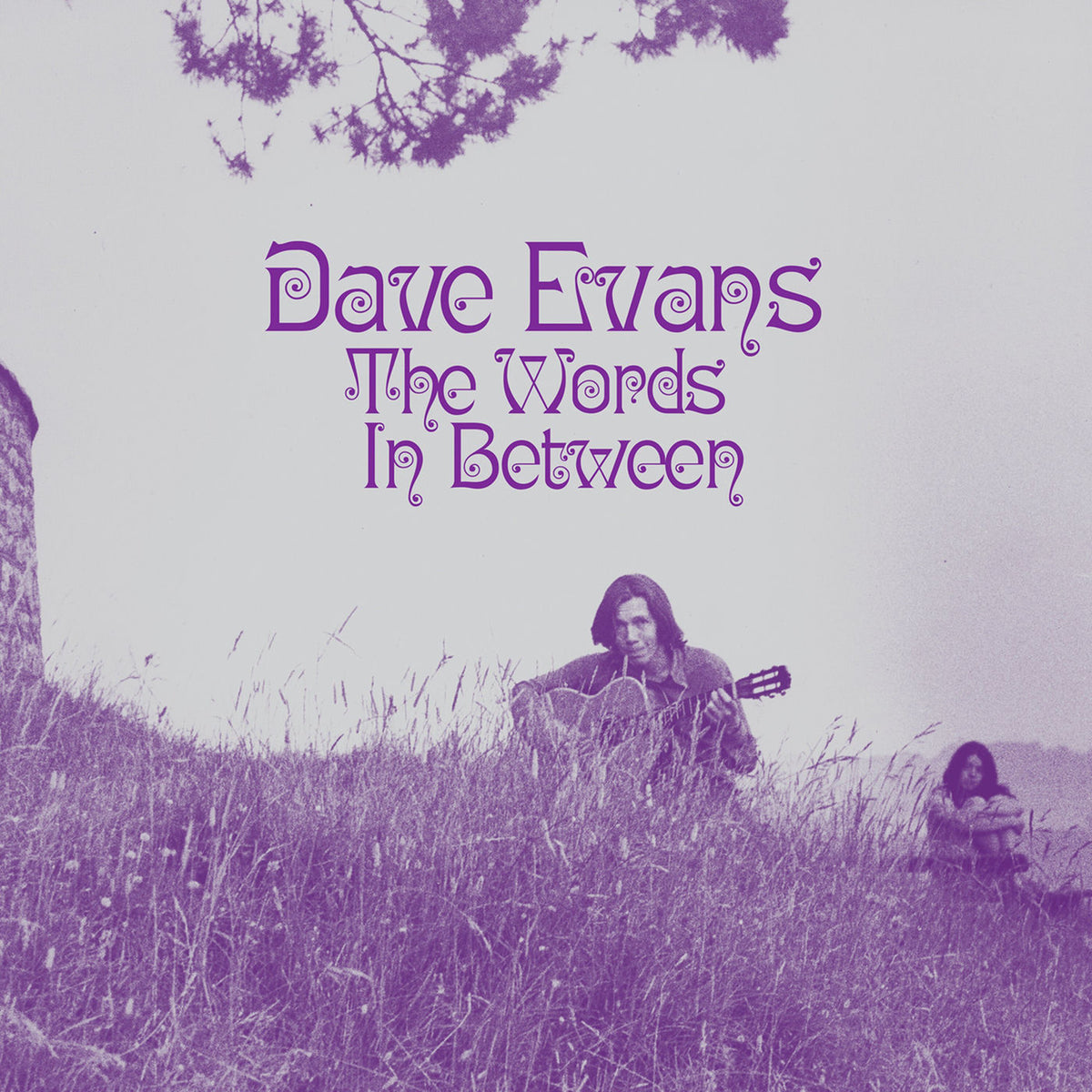 Dave Evans – The Words In Between vinyl cover