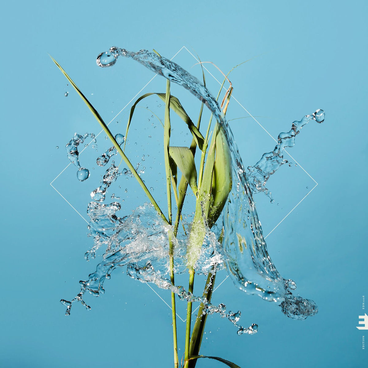 Fergus Mccreadie – Stream vinyl record cover