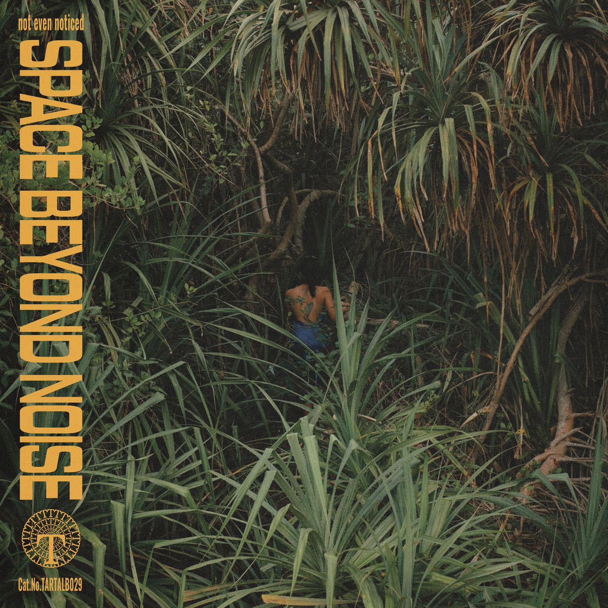 Not Even Noticed – Space Beyond Noise vinyl record cover