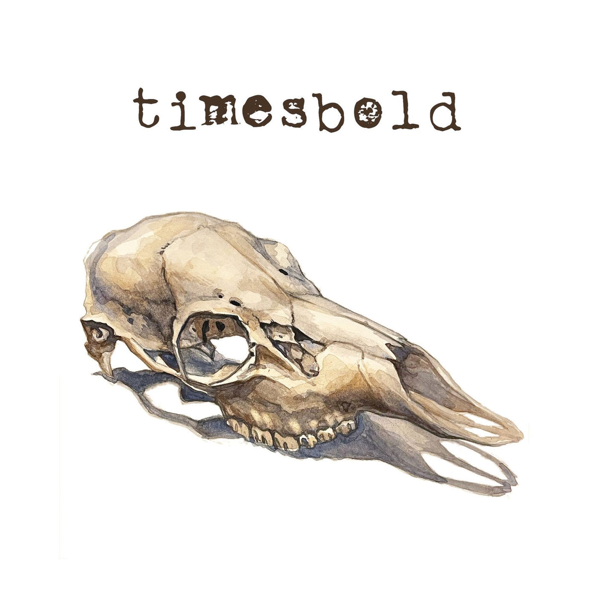 Timesbold – Not Still Here vinyl record cover