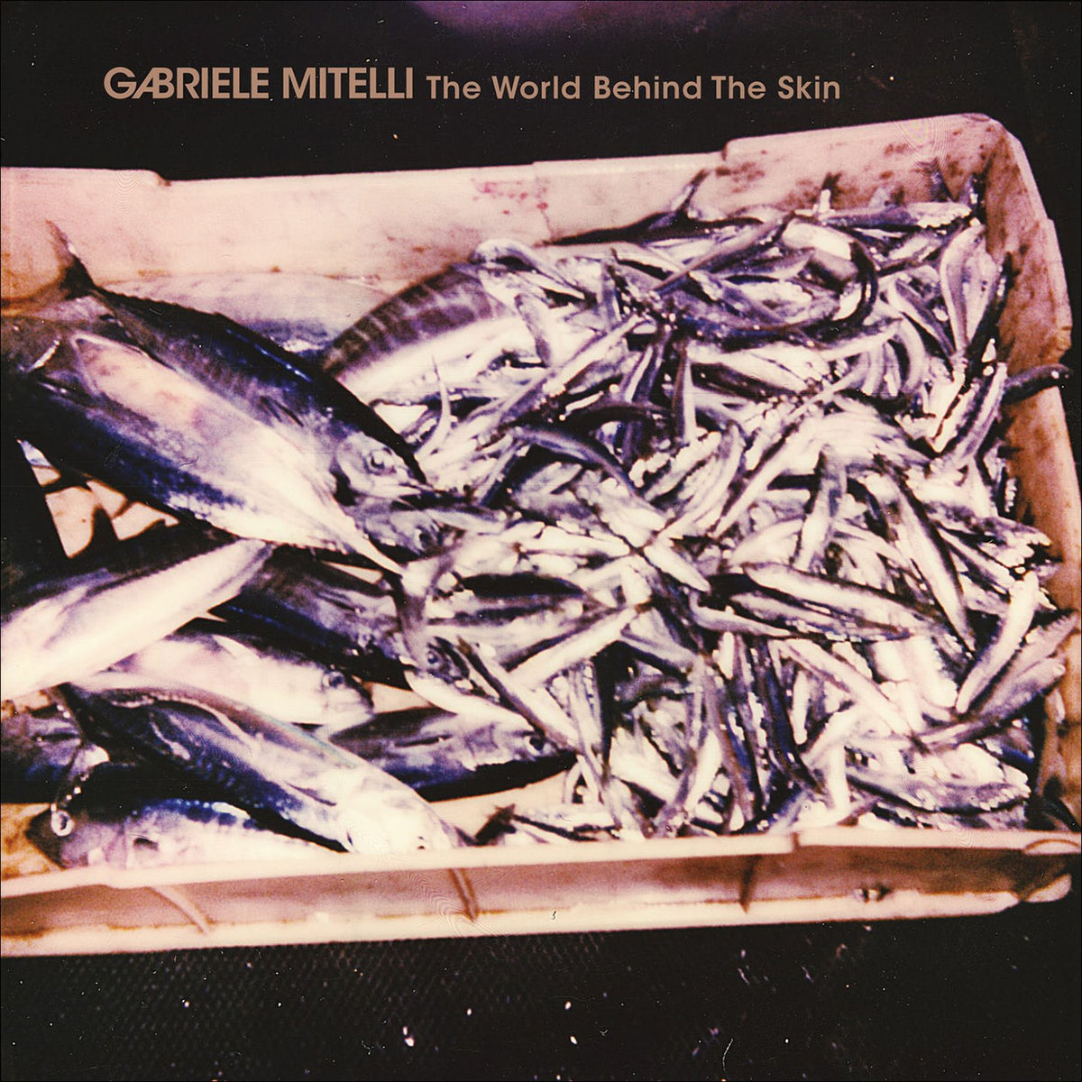 Gabriele Mitelli – World Behind The Skin vinyl record cover