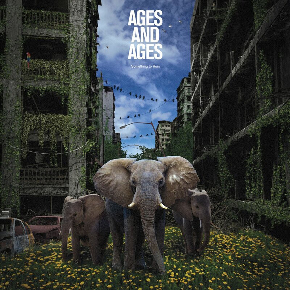 Ages and Ages – Something to Ruin vinyl record cover