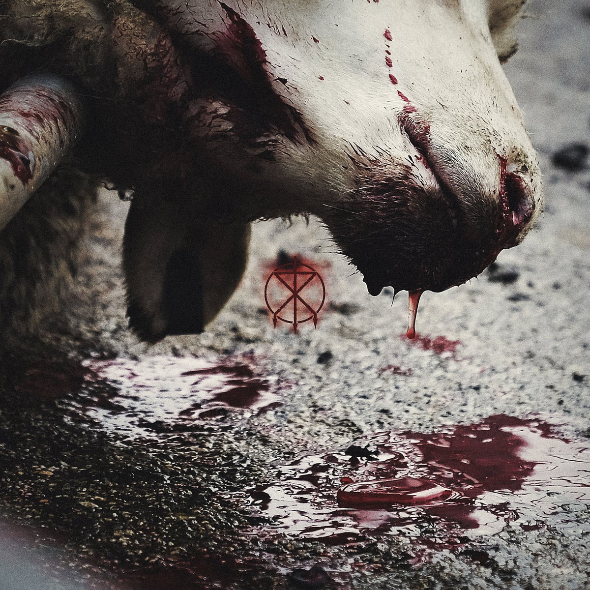 To The Grave – Director's Cuts vinyl cover