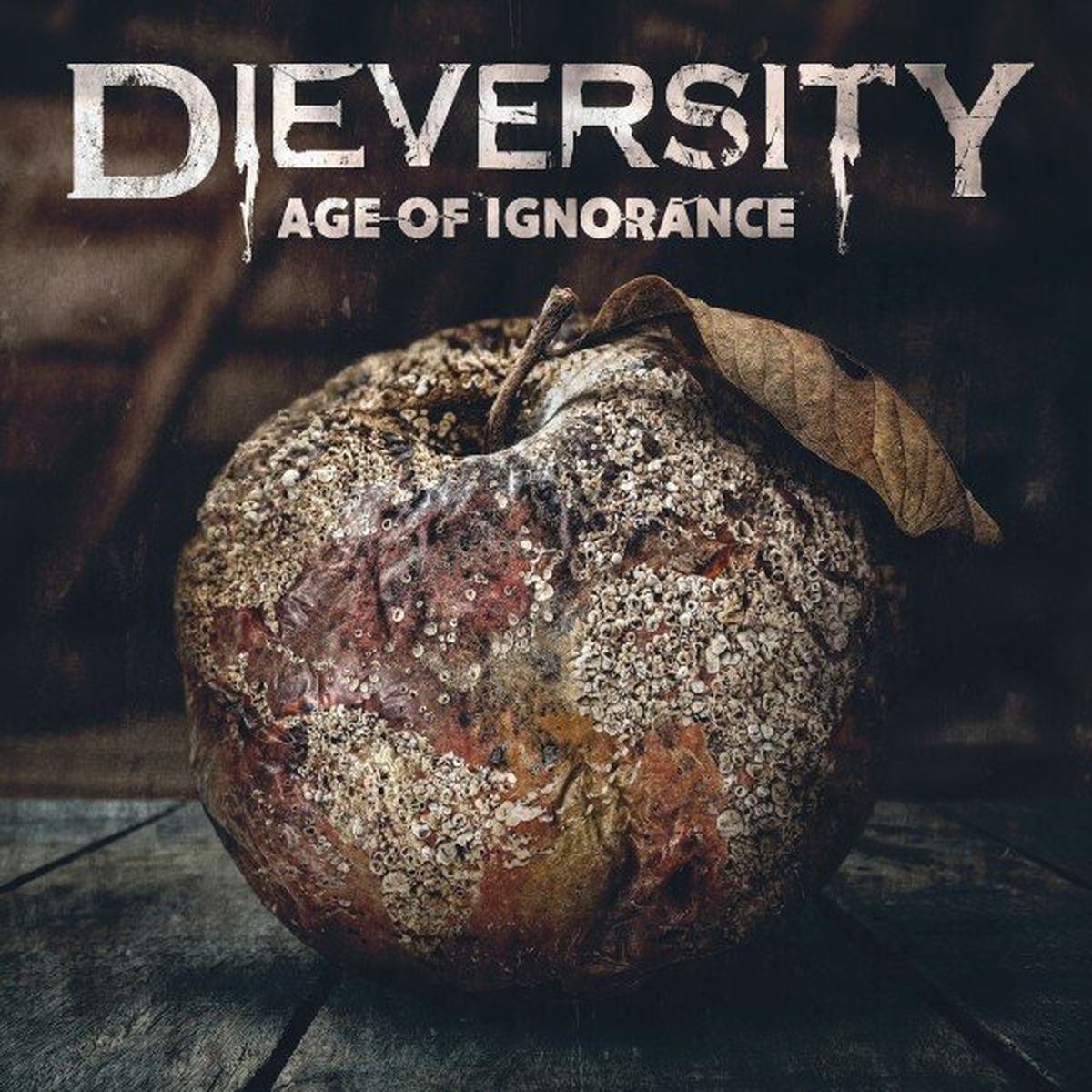 Dieversity – Age of Ignorance vinyl record cover