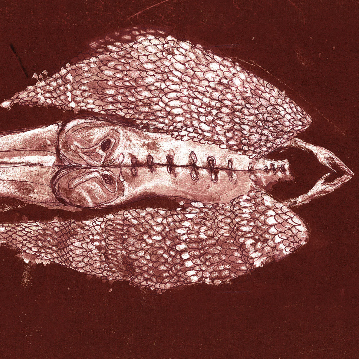 Cerberus Shoal – Homb (Anniversary Edition) vinyl record cover
