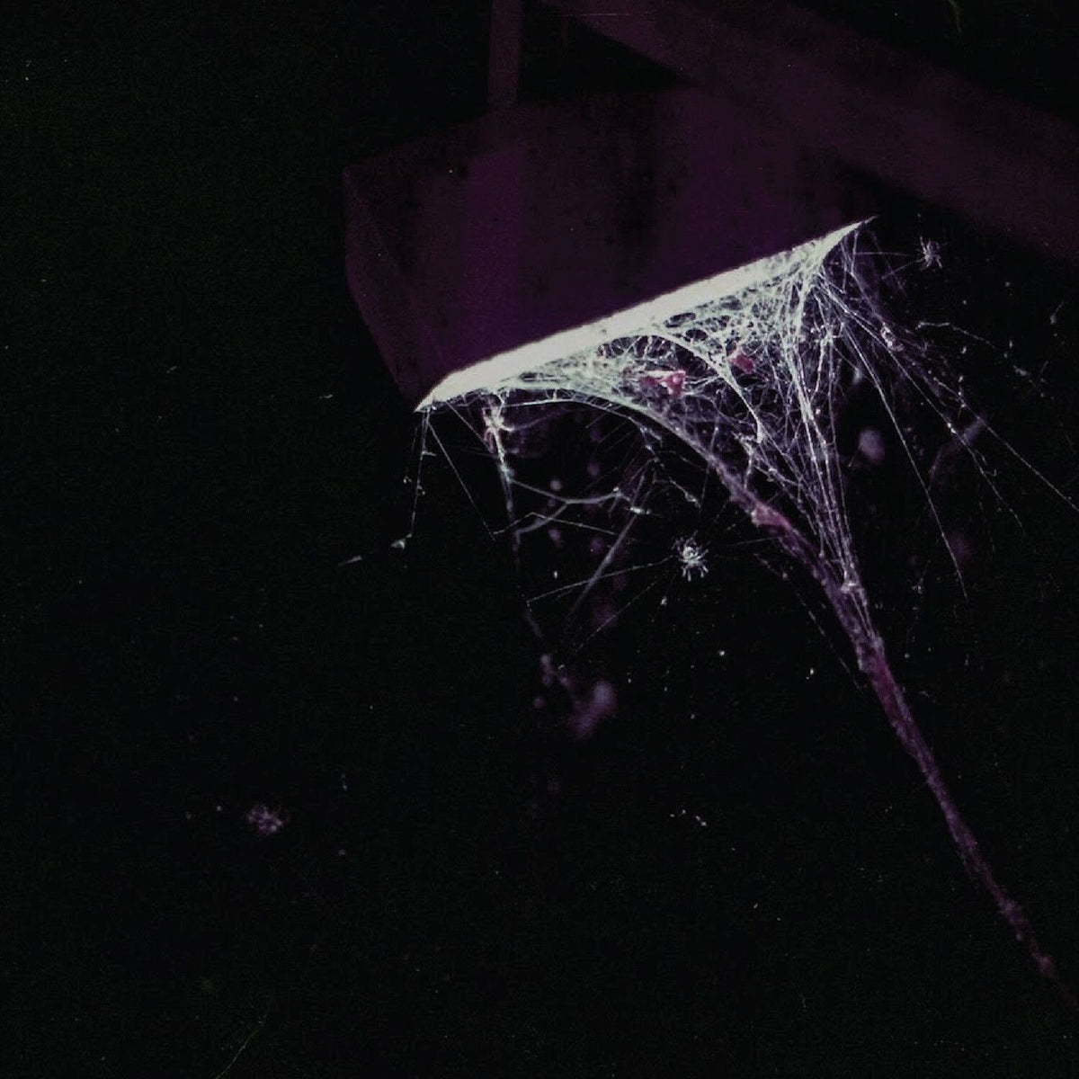 Pluralone – Across the Park B/W Sevens vinyl cover