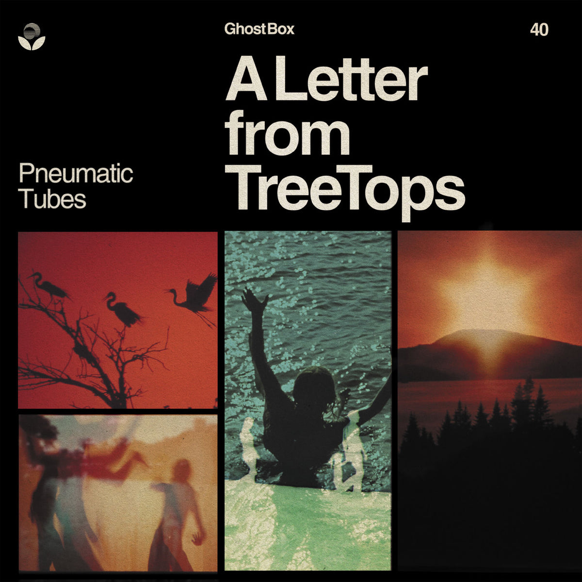 Pneumatic Tubes – A Letter from Treetops vinyl record cover