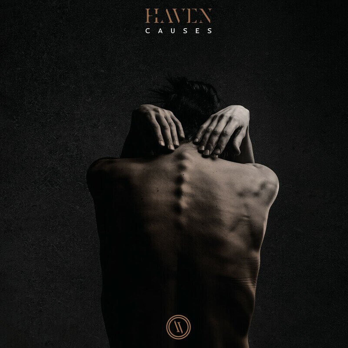 Haven – Causes vinyl record cover