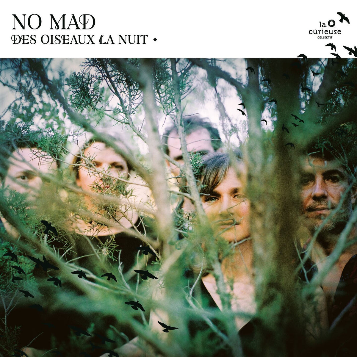 No Mad – Des Oiseaux La Nuit vinyl record cover