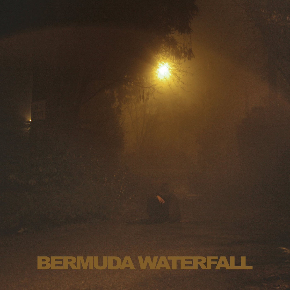 Sean Nicholas Savage – Bermuda Waterfall vinyl cover