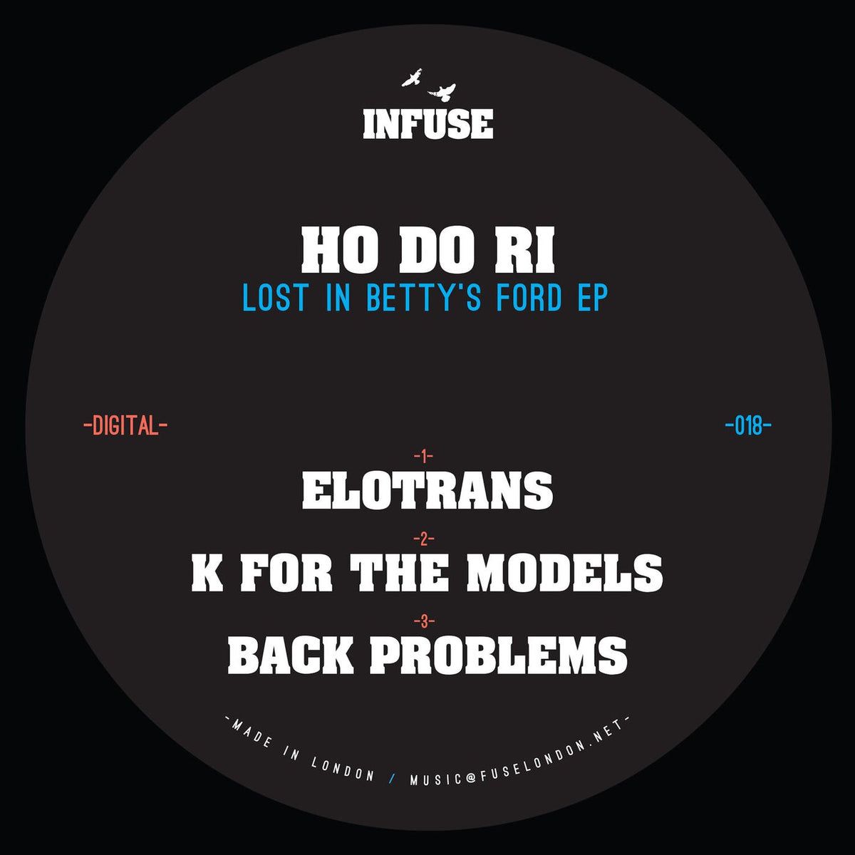 Ho Do Ri – Lost in Betty's Ford EP vinyl cover