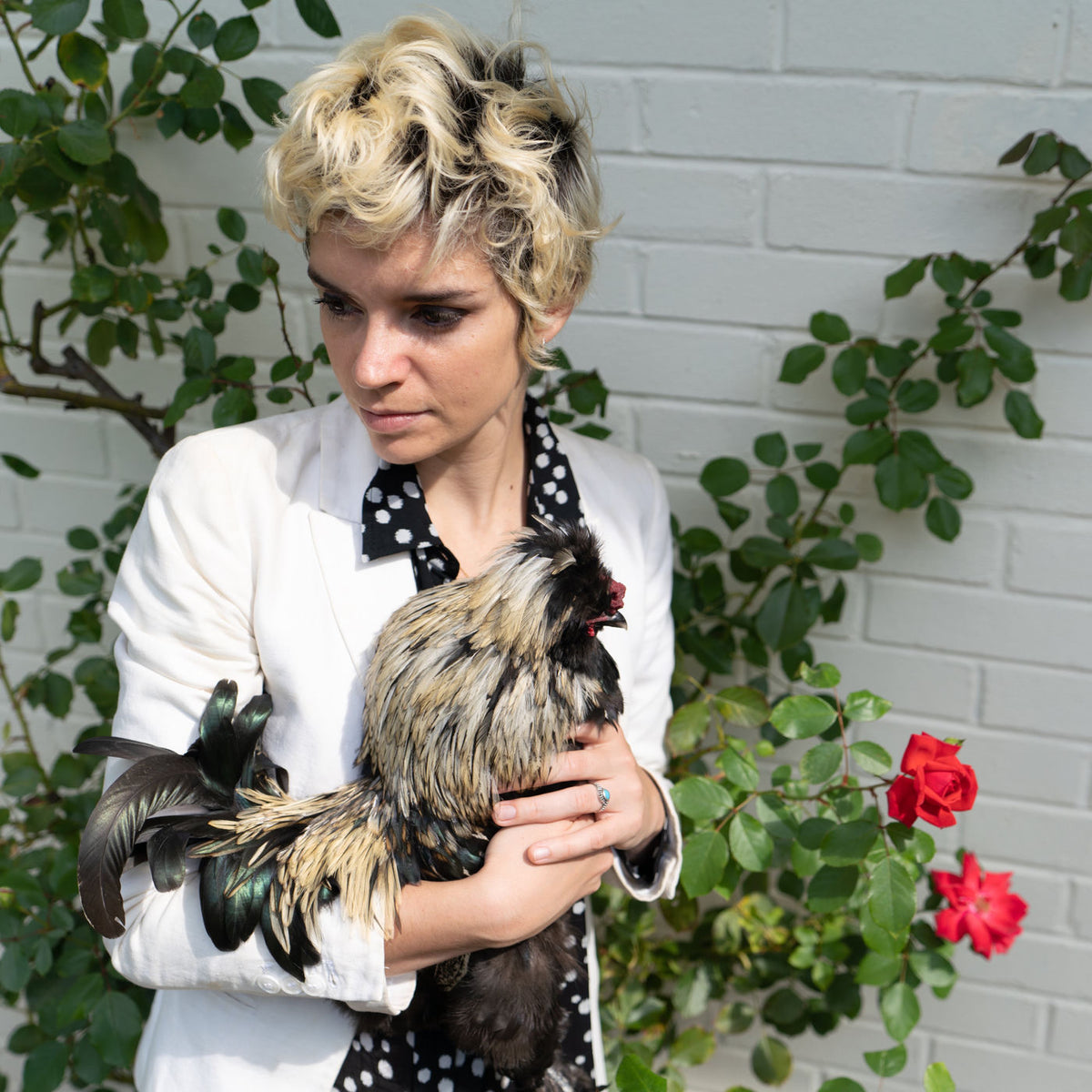 Gabi Garbutt – Cockerel vinyl cover