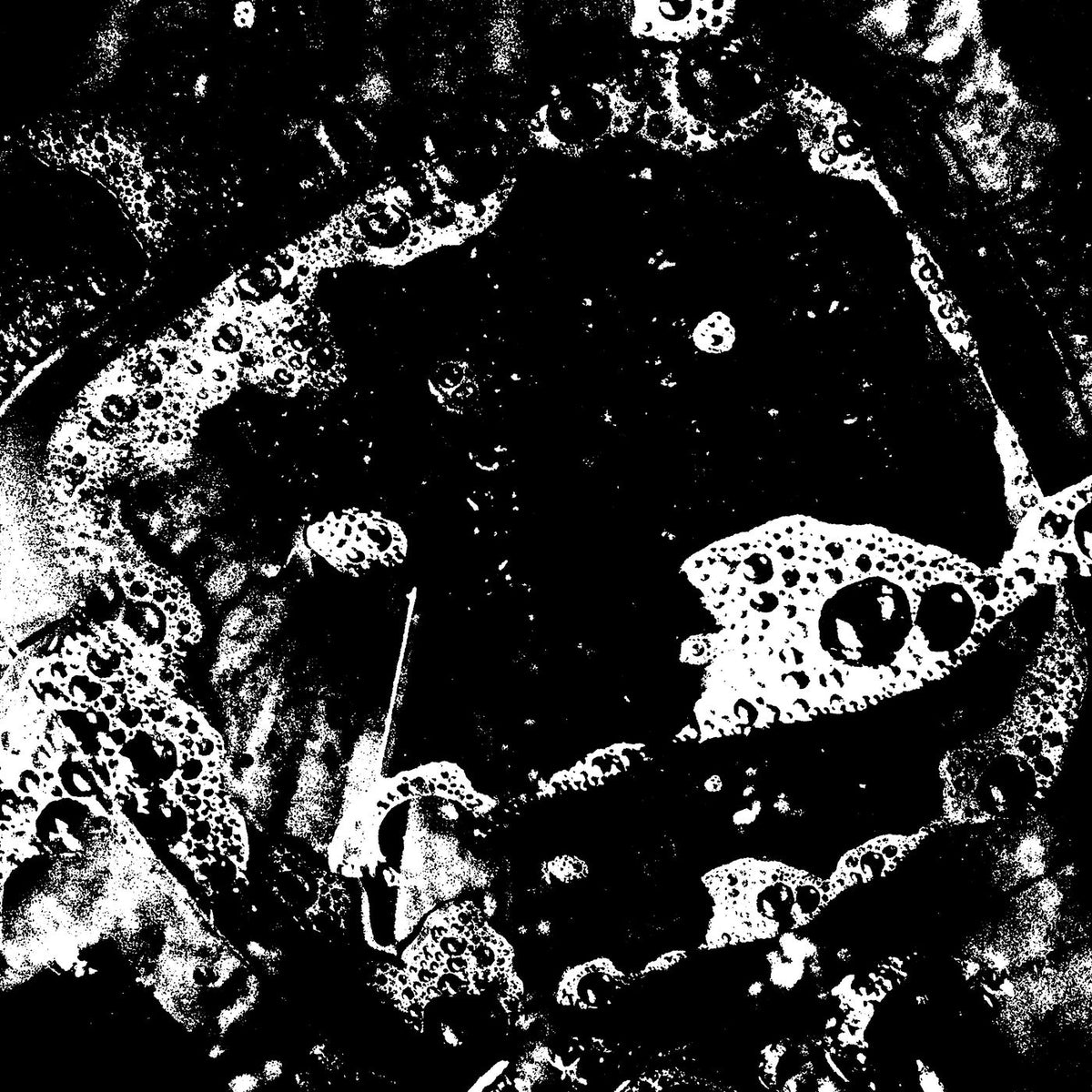 Biome – Griddled vinyl cover