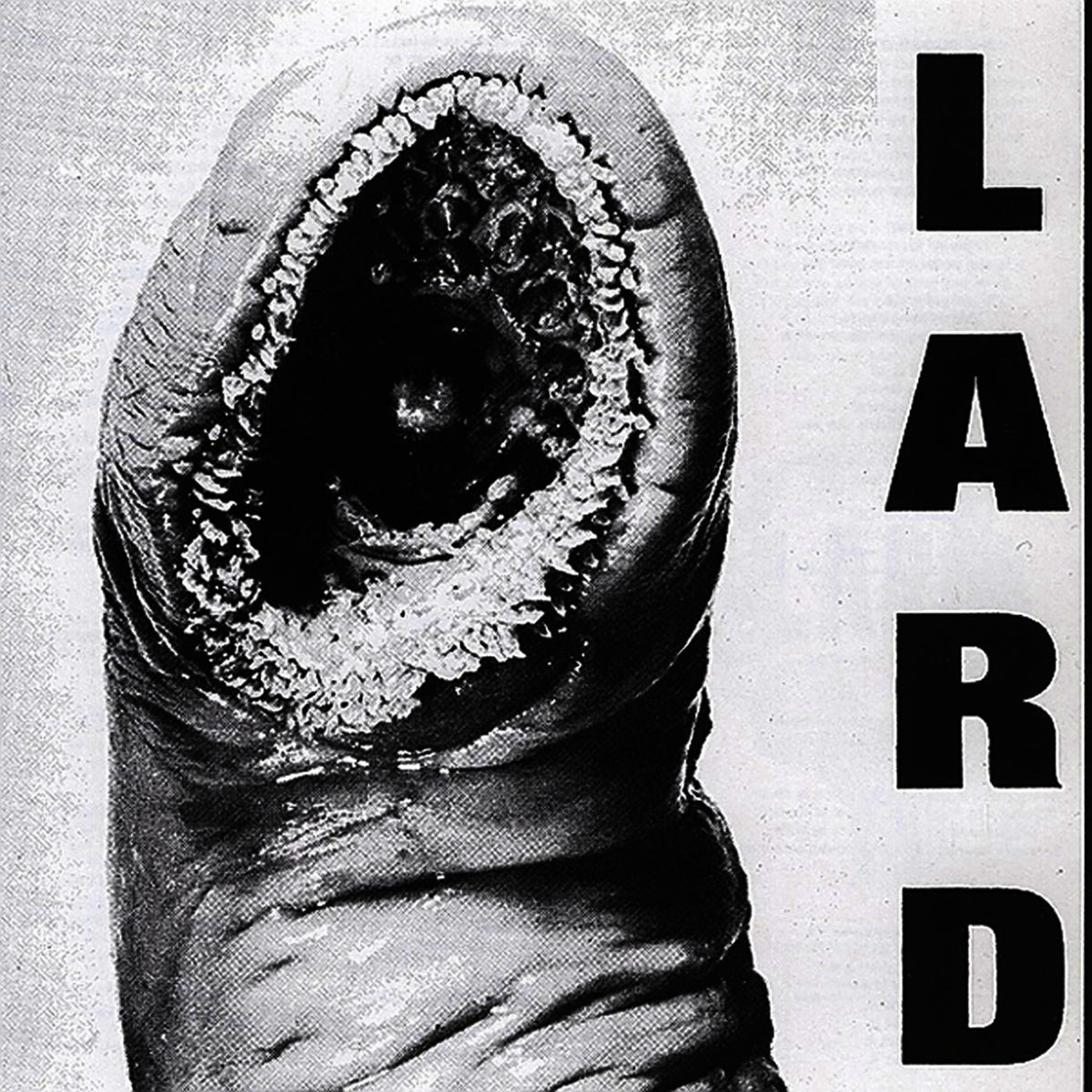 Lard – Power Of Lard vinyl cover